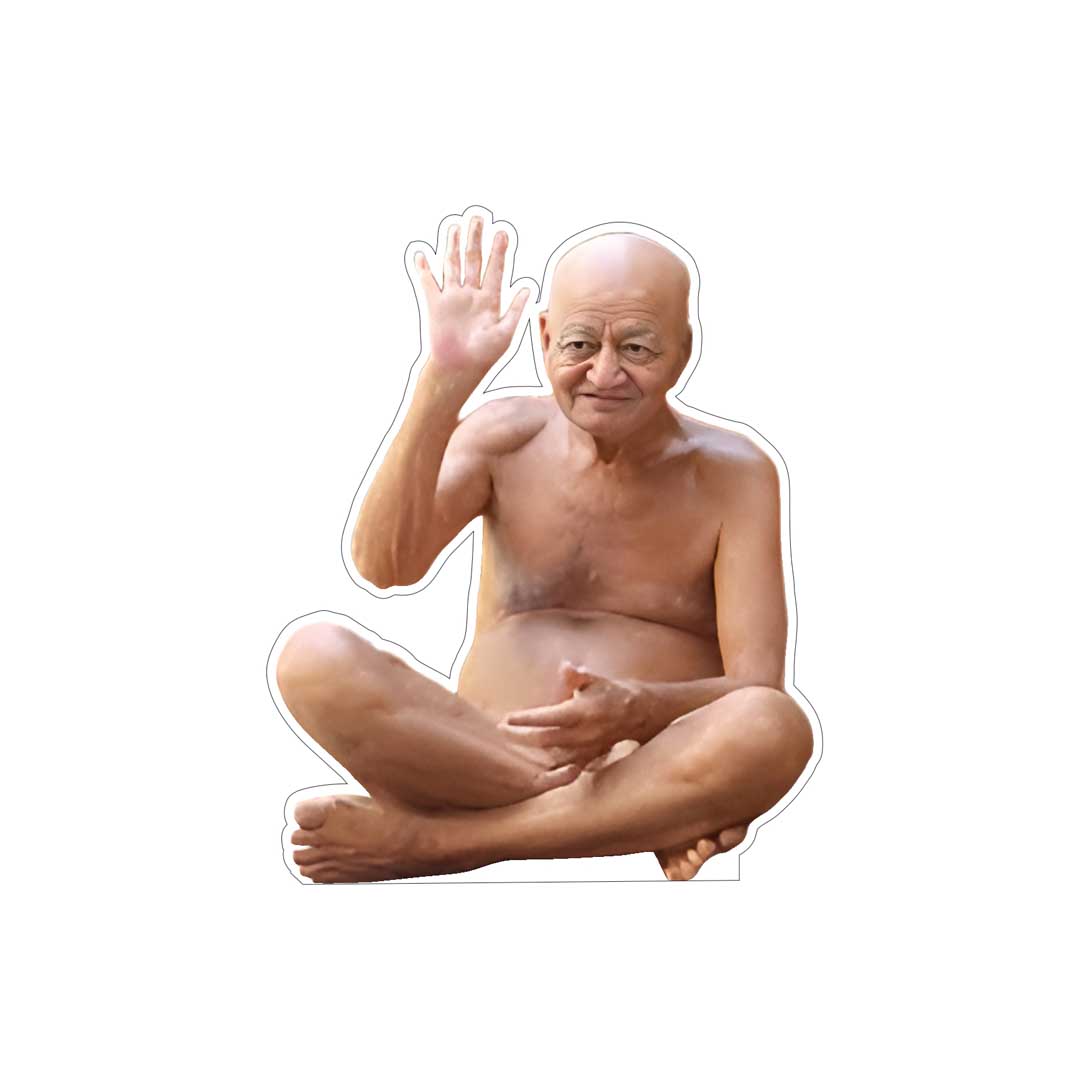 Vidyasagar Ji Maharaj